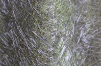 Crigglestone fibreglass roof work